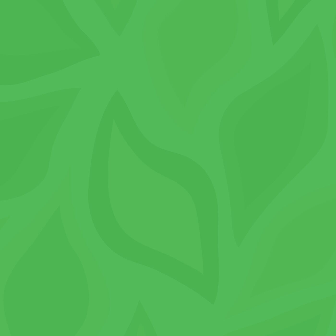 About Vetgen